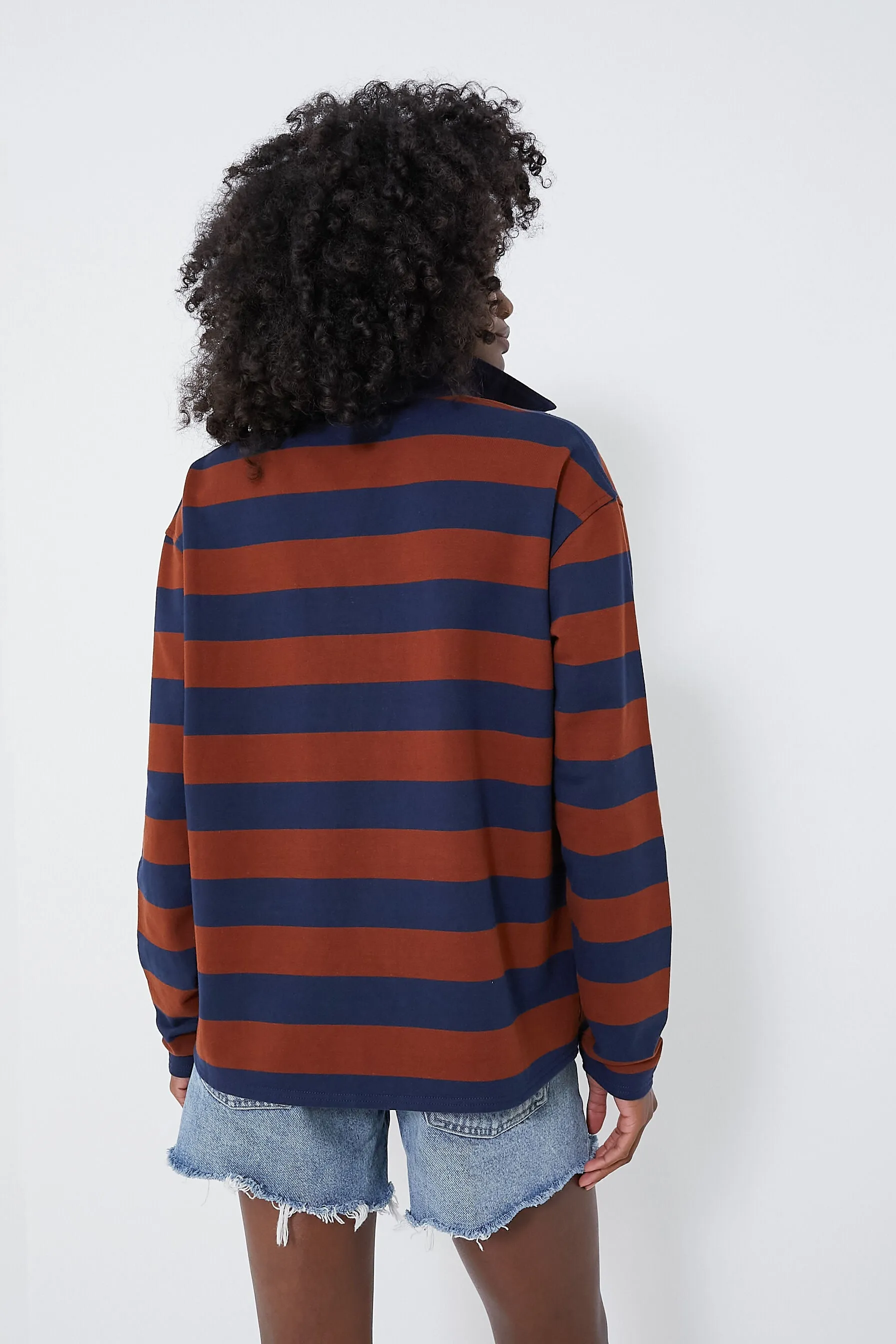 Brown Stripe Ellis Knit Polo Popover