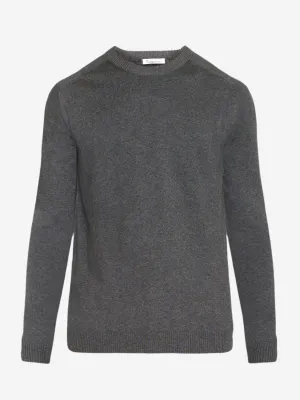 Regular merino knit crew neck